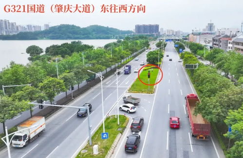 增設(shè)交通設(shè)施 老舊小區(qū)改造 肇慶這些民生實(shí)事,與你息息相關(guān)